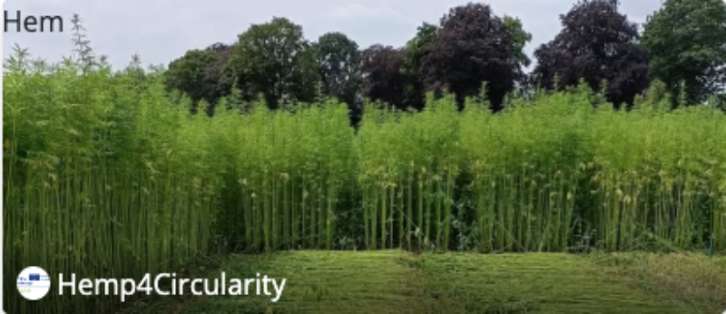 Schermafbeelding 2026 01 06 om 08 57 30